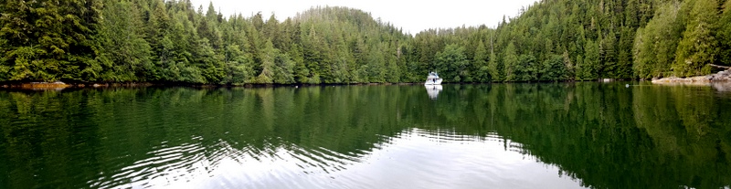 Panoramic view of Ladyboot Cove which we had all to our own, for a little while. Another boat came in, later in the day, and dropped a hook nearer the entrance.