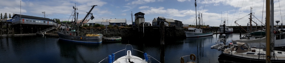 Just found out that the commercial crab season opens tomorrow, the 28th of June and is a 32 hour opening. Directly in front of out bow is where the crabbers will be bringing in the catches for the next day and a half. Nothing like 'ringside' seats!