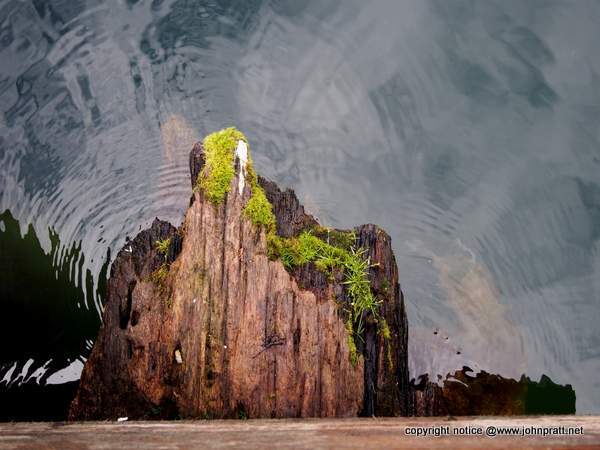 What is this? A mountain? A tree? Definitely interesting.